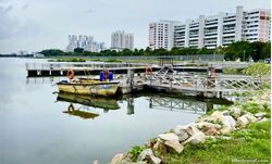 Blk 414 Pandan Gardens (Jurong East), HDB 3 Rooms #602923711